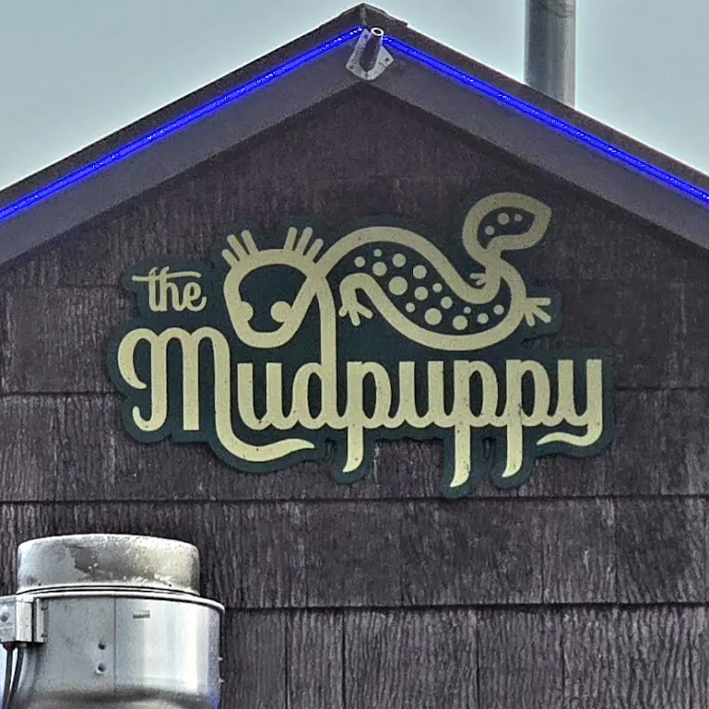 The Mudpuppy