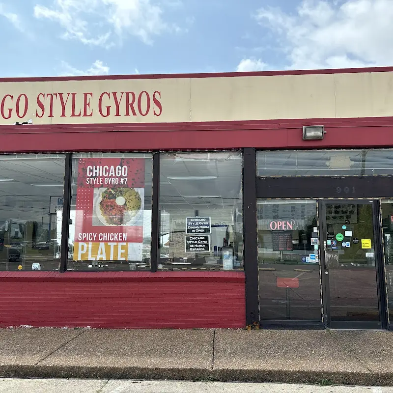 Chicago Style Gyros #7