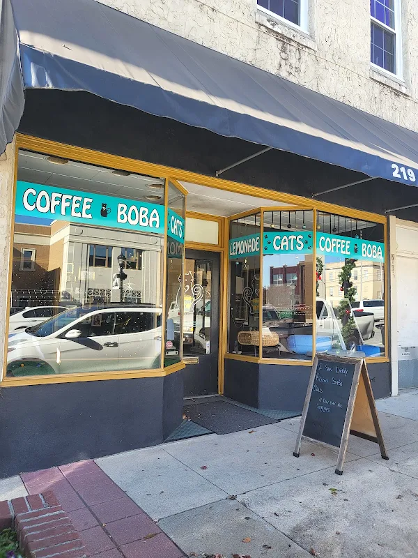 Brews and Mews Cat Cafe
