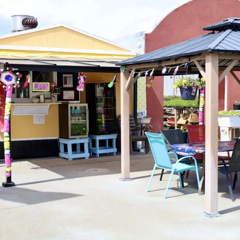 Sofia Mexican Food