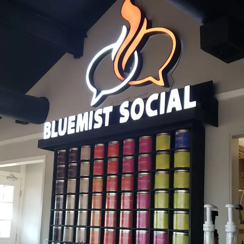 Social Chick