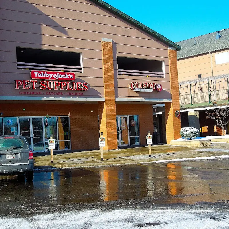 Cold Stone Creamery