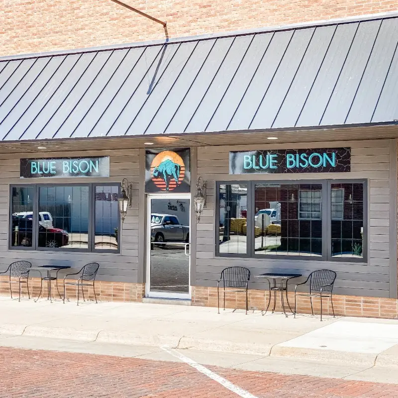 Blue Bison