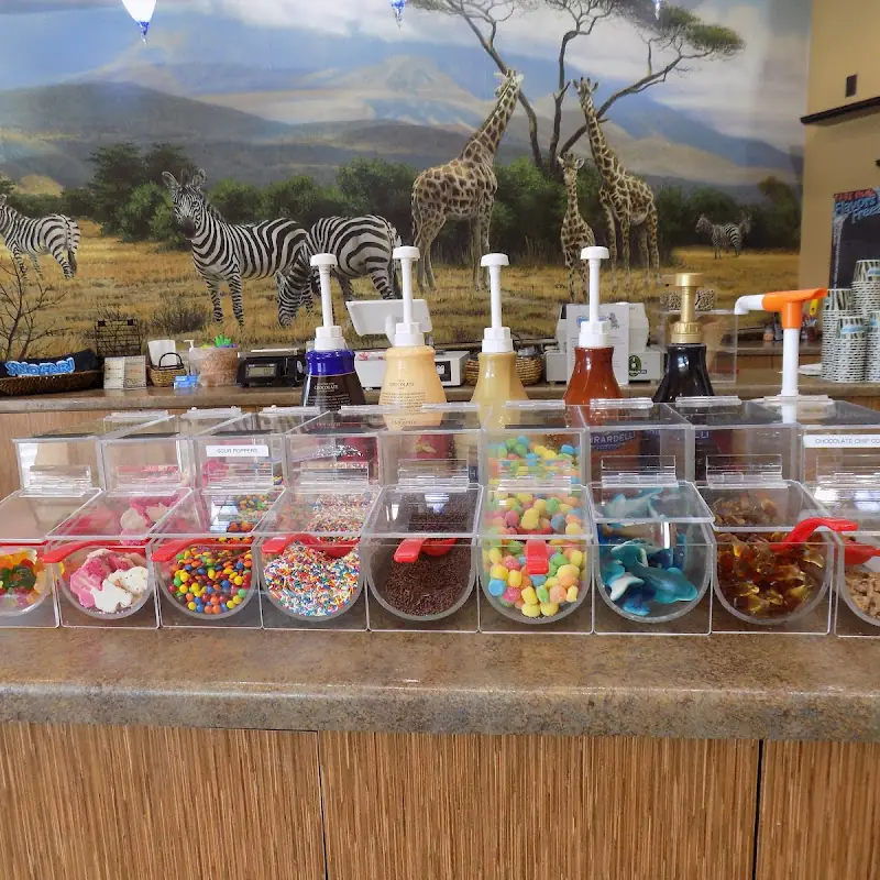 Snofari Frozen Yogurt
