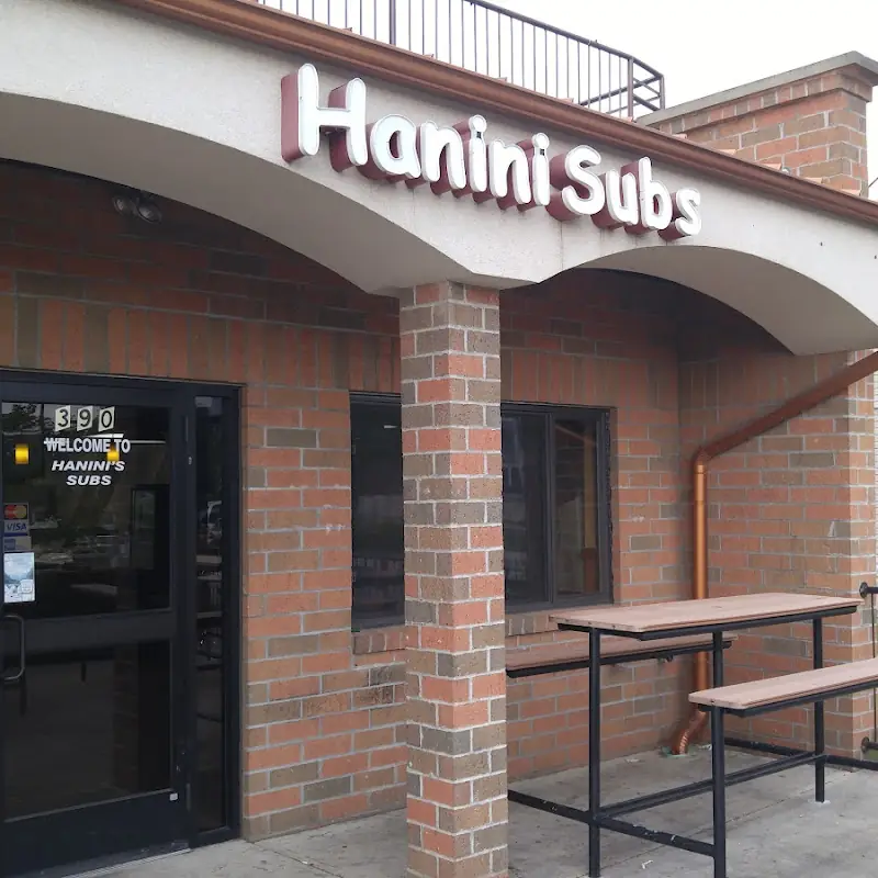 Hanini Subs