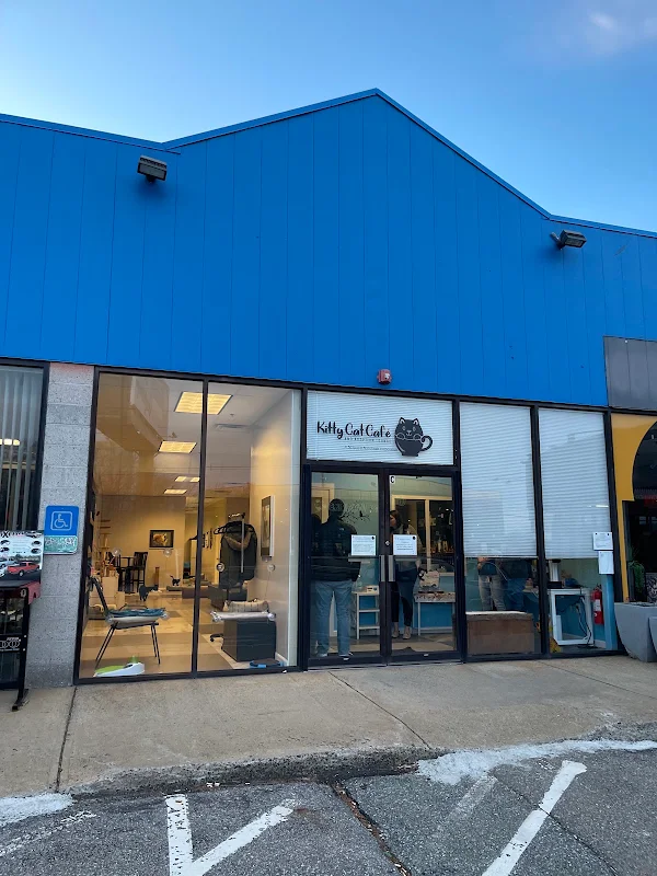 Kitty Cat Cafe and Adoption Lounge Inc