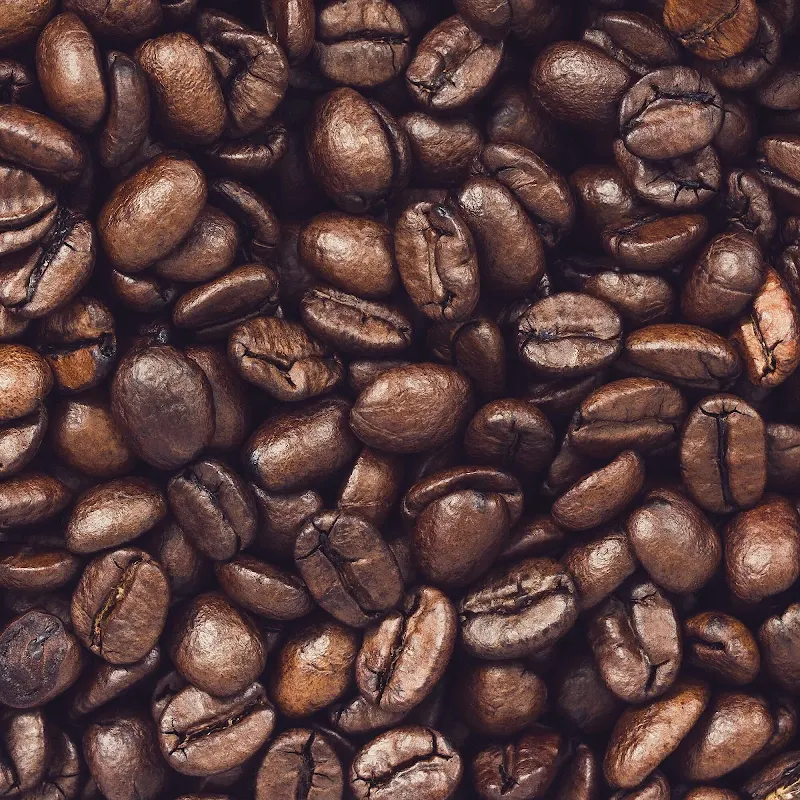 Wheelhouse Coffee