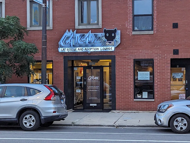The Catcade - Cat Cafe & Rescue