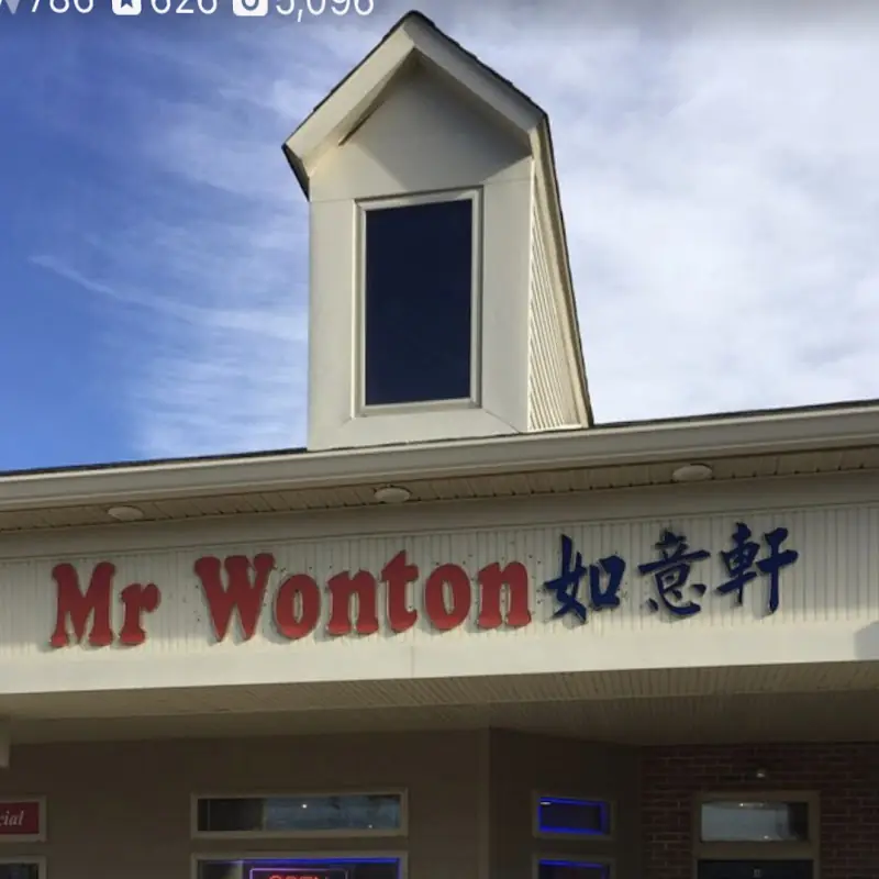 Mr. Wonton