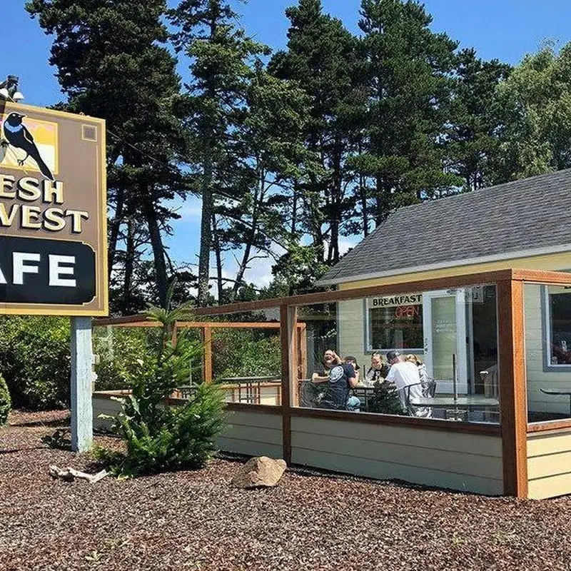 Fresh Harvest Cafe