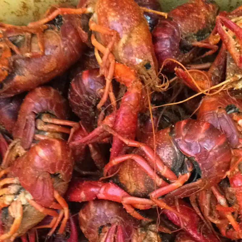 Kajun Crawdads Specialty Meats