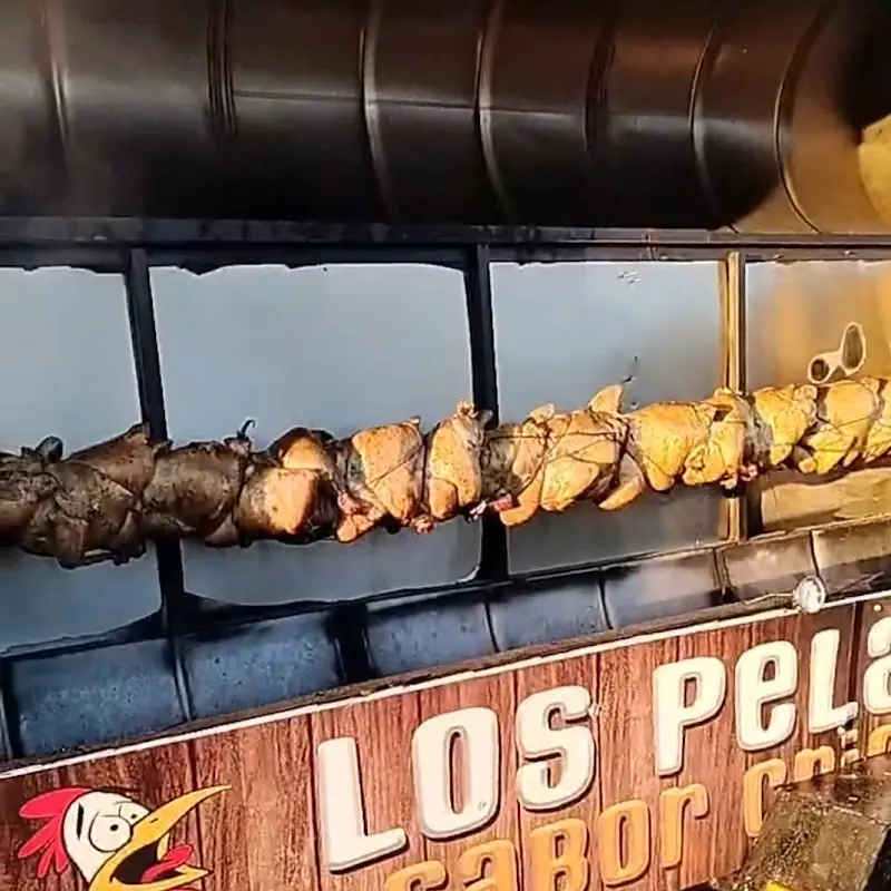 The Pelaya (BBQ chicken)