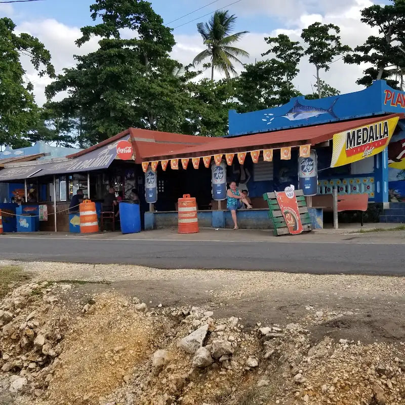 La Palmita