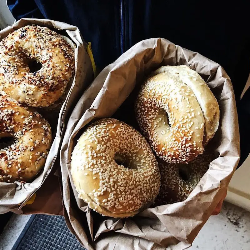 Bullfrog Bagels