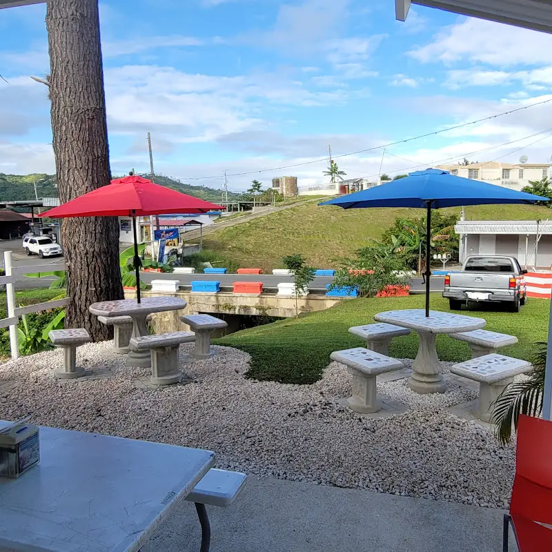 Waldys Pinchos