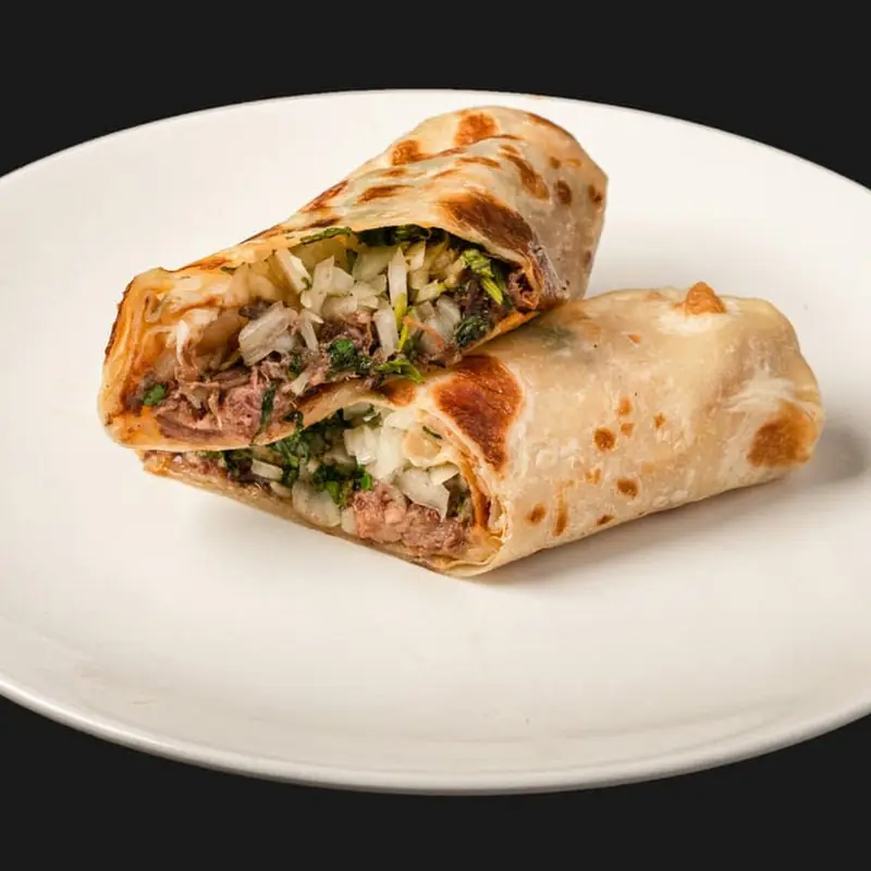 Birria Burrito