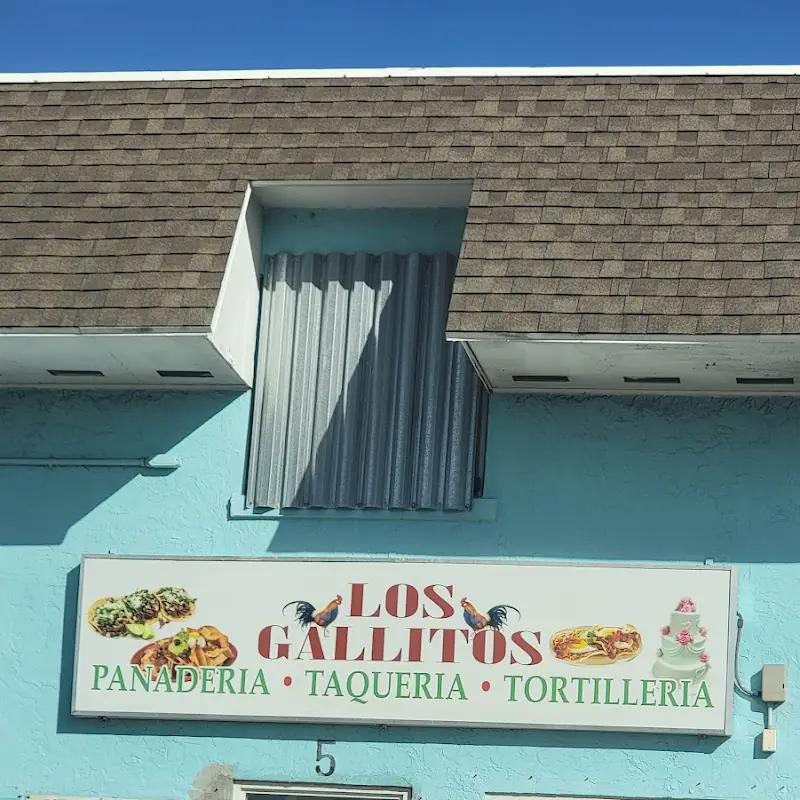 Carne Asada