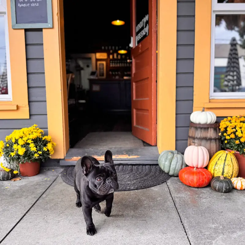 Uptown Wine and Kitchen