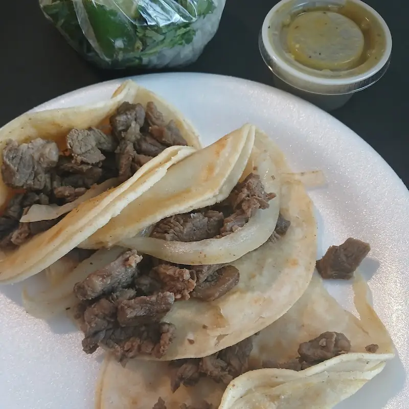 Birria Burrito