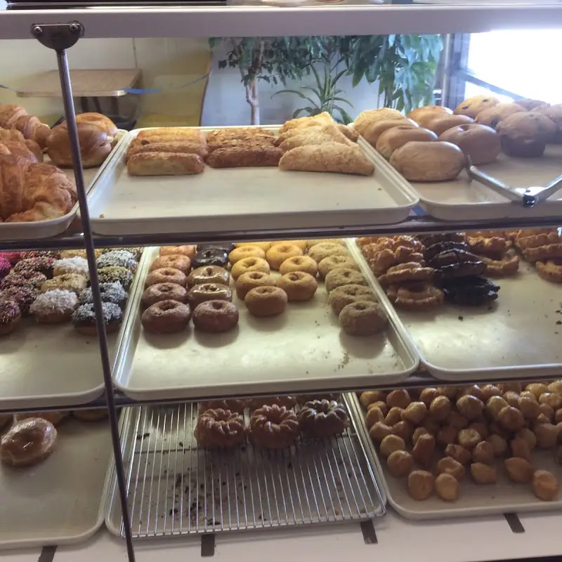Donut Designs