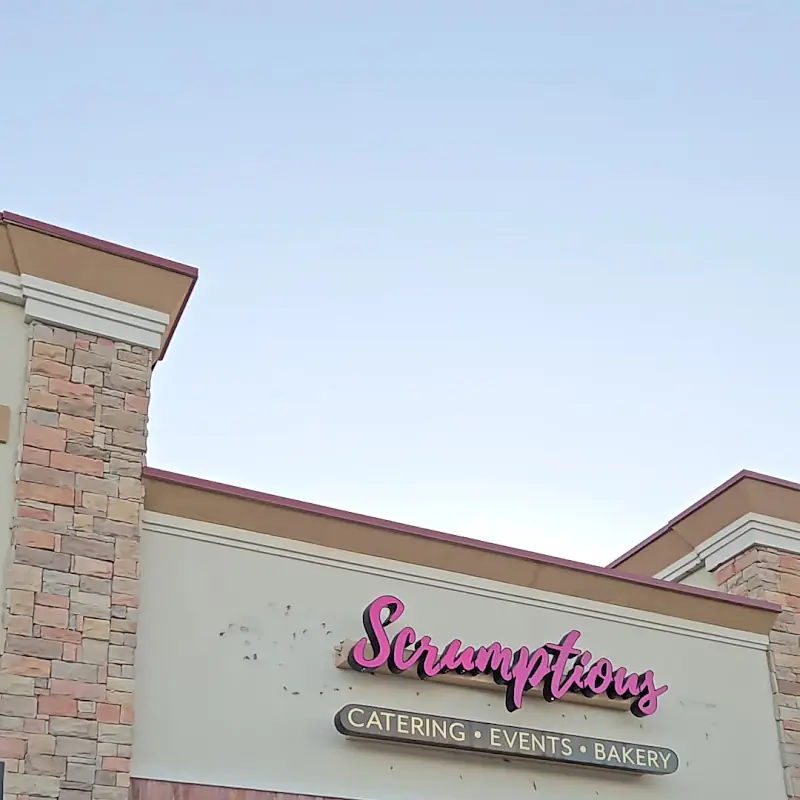 Scrumptious Houston- Bagels & Cheesecakes