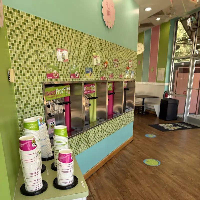 Sweet Frog Premium Frozen Yogurt - Clemmons