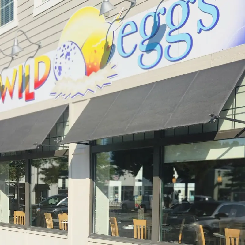 Wild Eggs