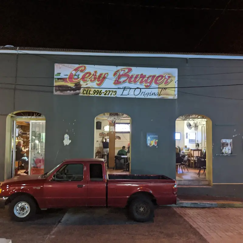 Cesy Burger