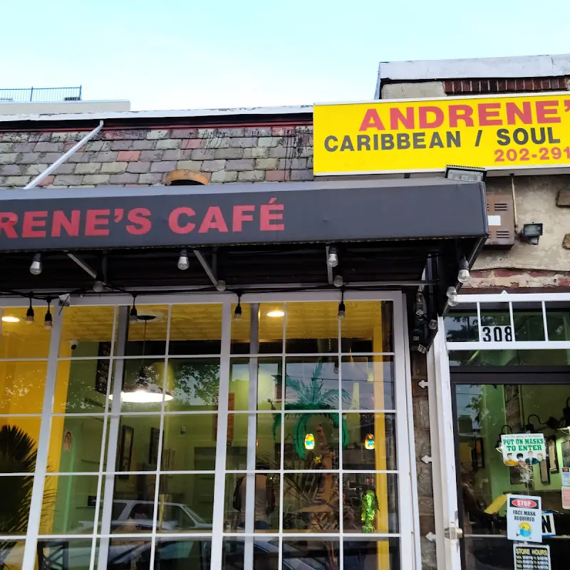 Andrene's