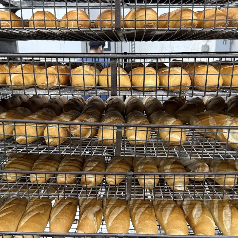 Deluca's Bakery