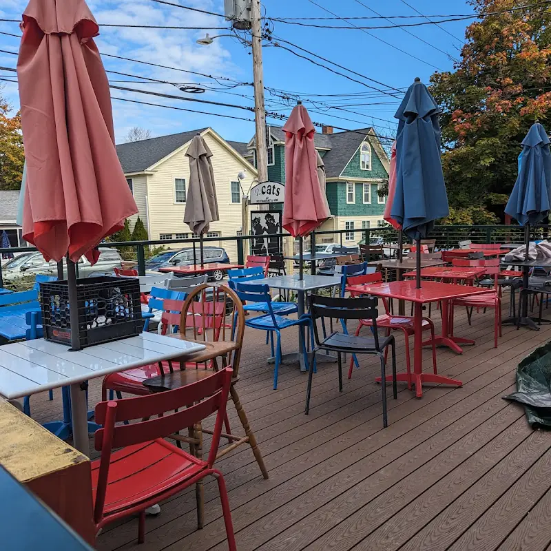 2 Cats Bar Harbor