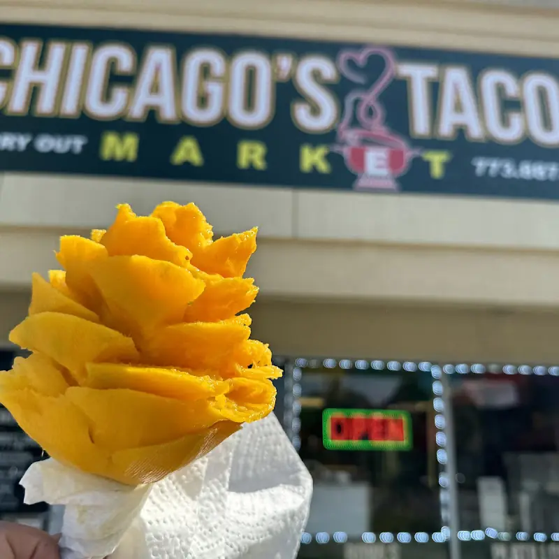 Chicago’s Tacos