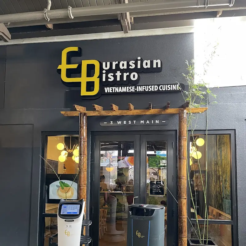 Eurasian Bistro Express