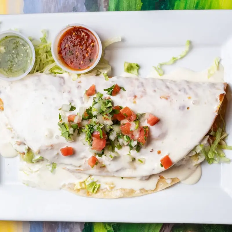 veggie burrito