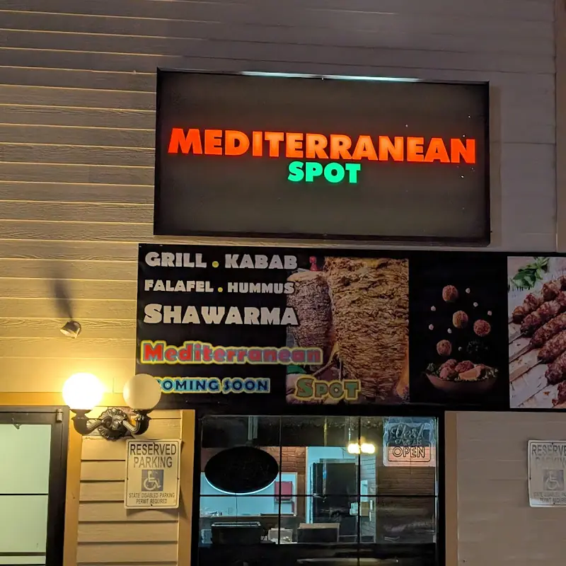 Falafel Wrap