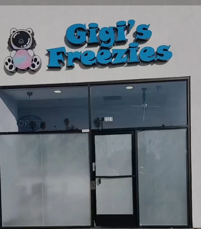 Gigi's Freezies