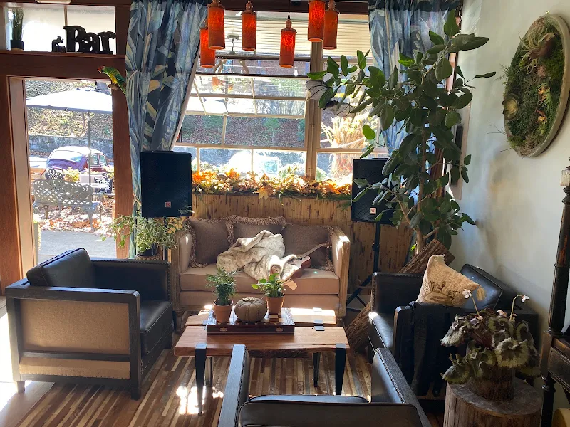 Mountain Vibes KAVA Lounge