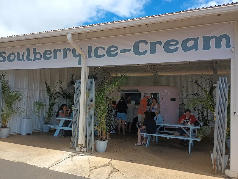 Soulberry Ice-Cream