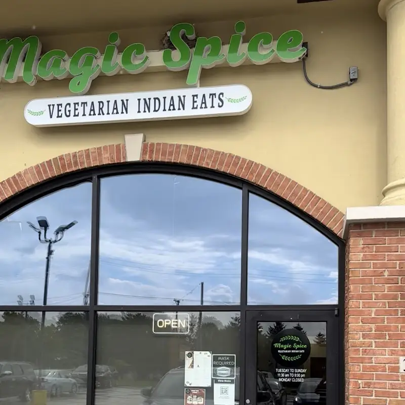 Magic Spice - Vegetarian Indian Eats