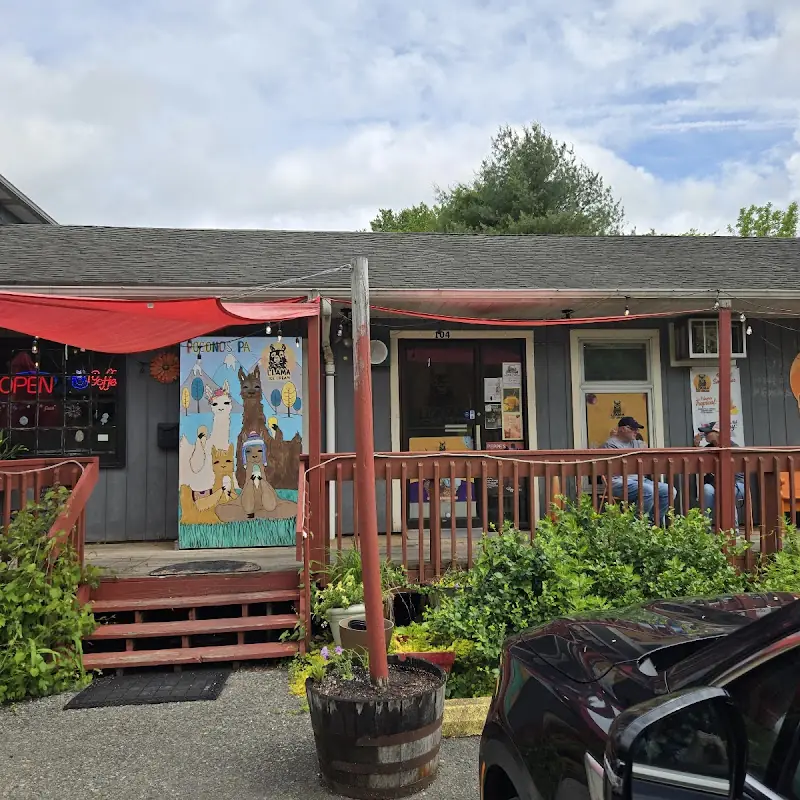 Llama Ice Cream