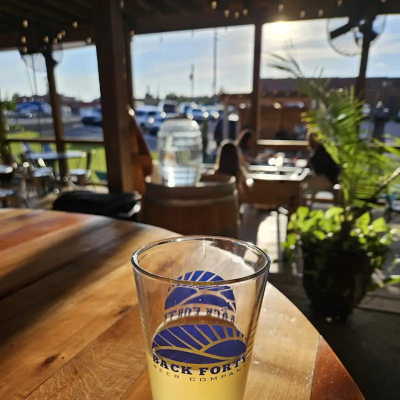 Back Forty Beer Company