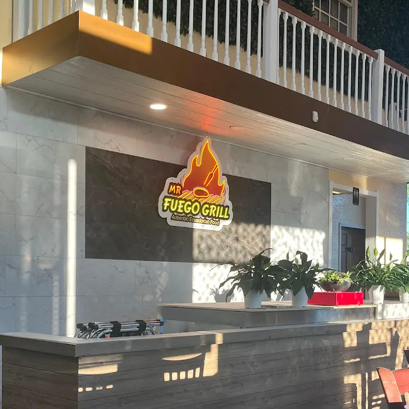 Mr Fuego Grill