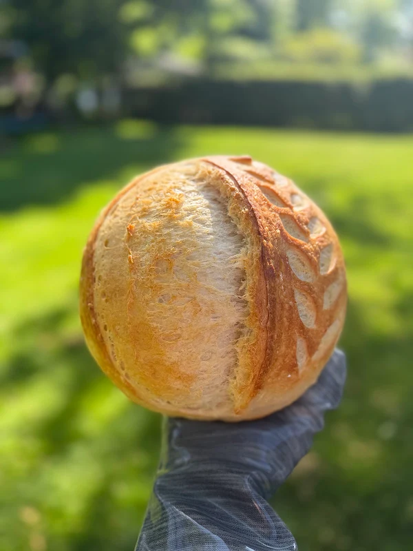 Bird’s Bread