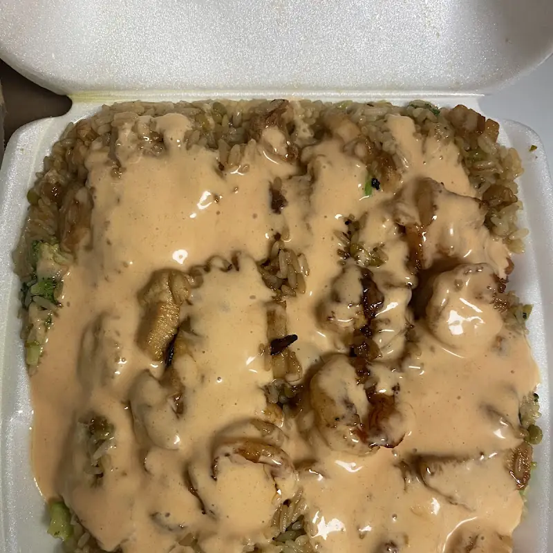 Plain Fried Rice