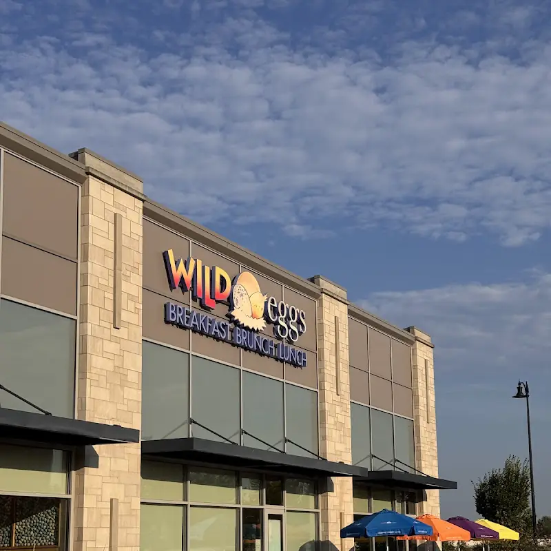 Wild Eggs