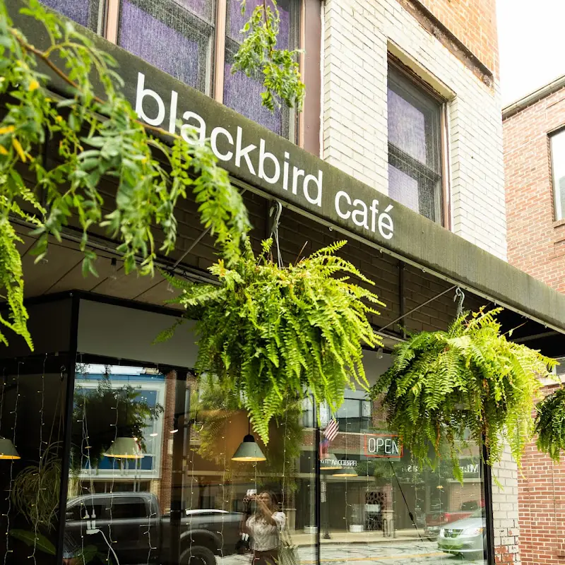 Blackbird Cafe