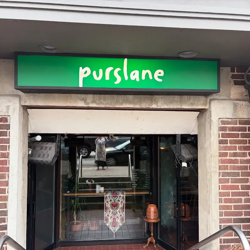 Purslane