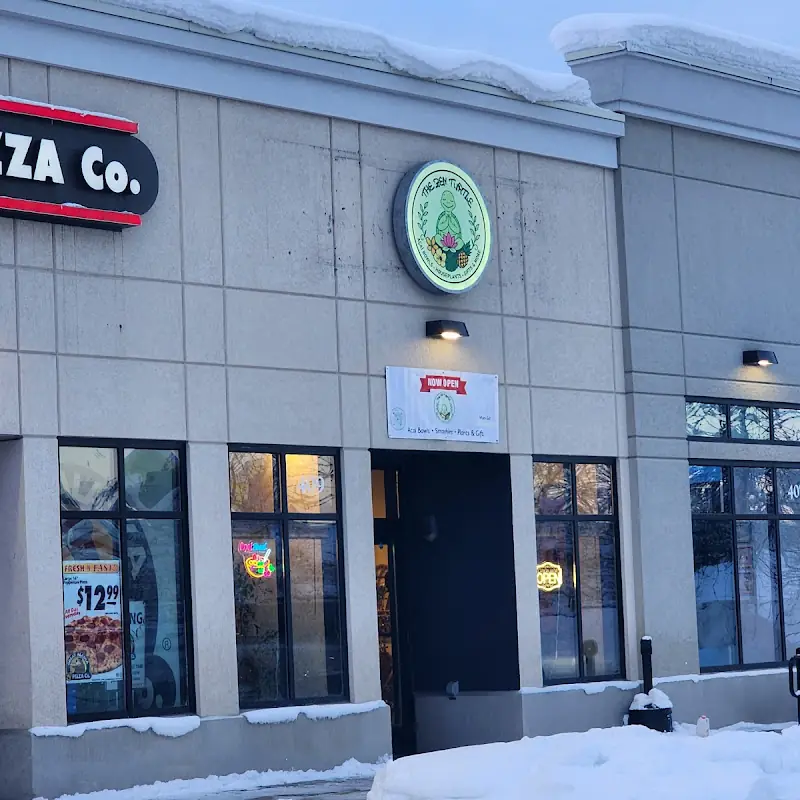 The Zen Turtle