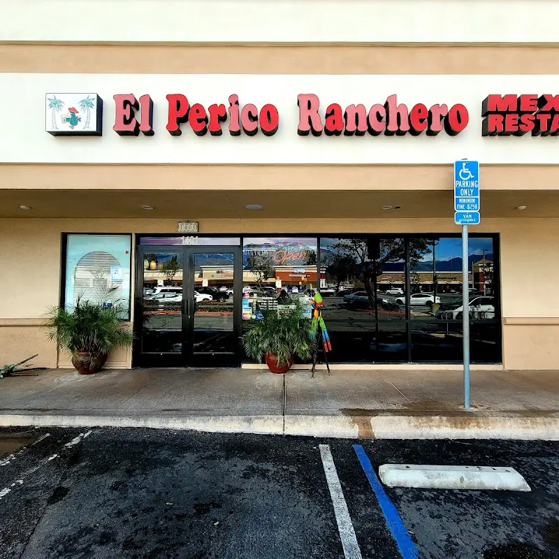 12 Hard Shell Taco