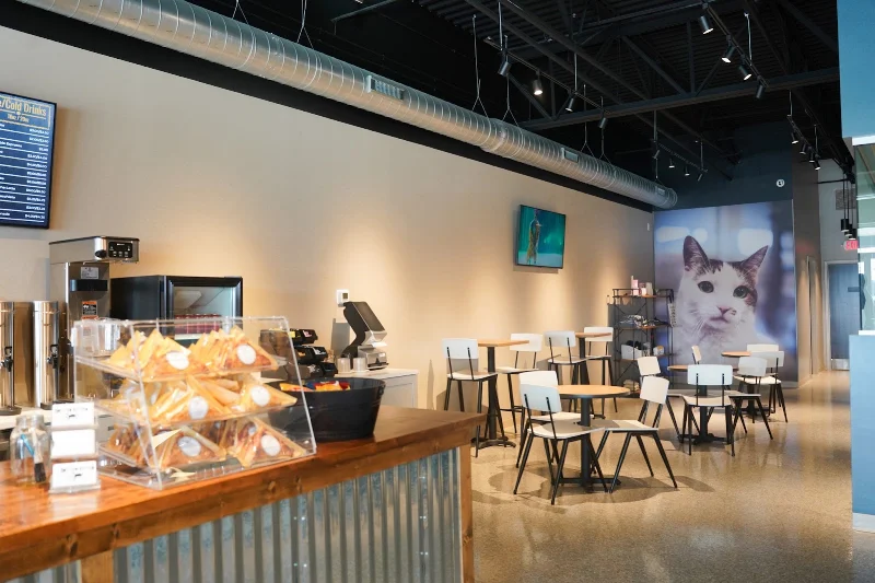 Smitten Kitten Cat Cafe and Coffee Shop